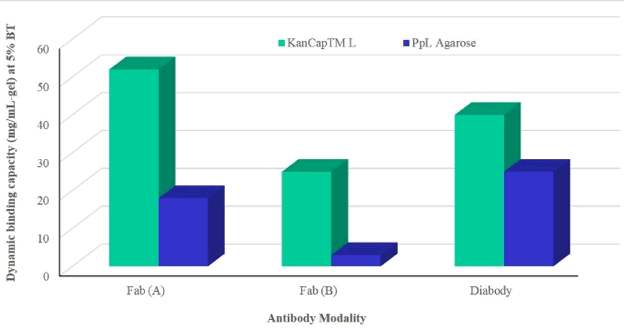 Dynamic Binding Capacity of KanCapTM L as compared to PpL agarose resin
