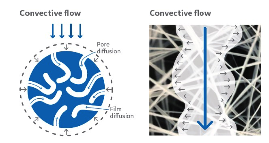 The open structure in Fibro fibers (right) allows convective flow and direct mass transfer of the target protein to the ligand immobilized on the fiber surface