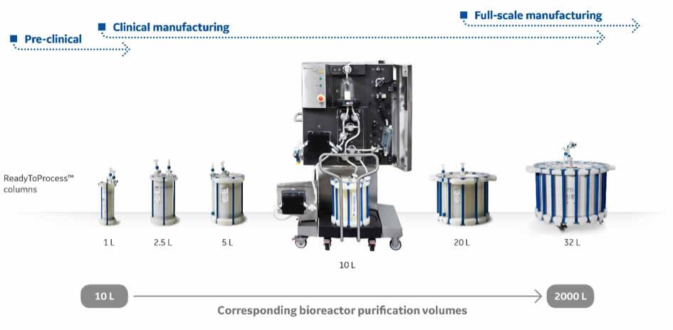 Corresponding bioreactor purification volumes