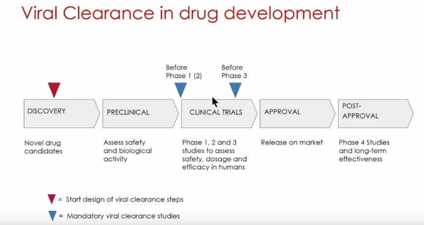 Viral clearance in drug development