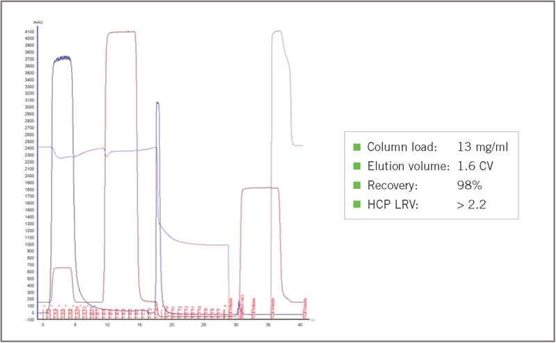 chromatographic performance of a batch purification run of the VHH with Amsphere A3, demonstrating a low elution volume with good protein recovery and HCP clearance.