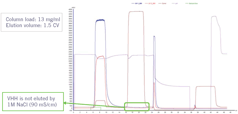 Chromatogram of the purification of a VHH sdAb with Amsphere A3. The sdAb is still bound to the column after applying a wash step with 1M NaCl