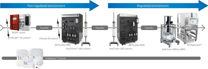 Reliably scale up your process and simply transfer to GMP environments