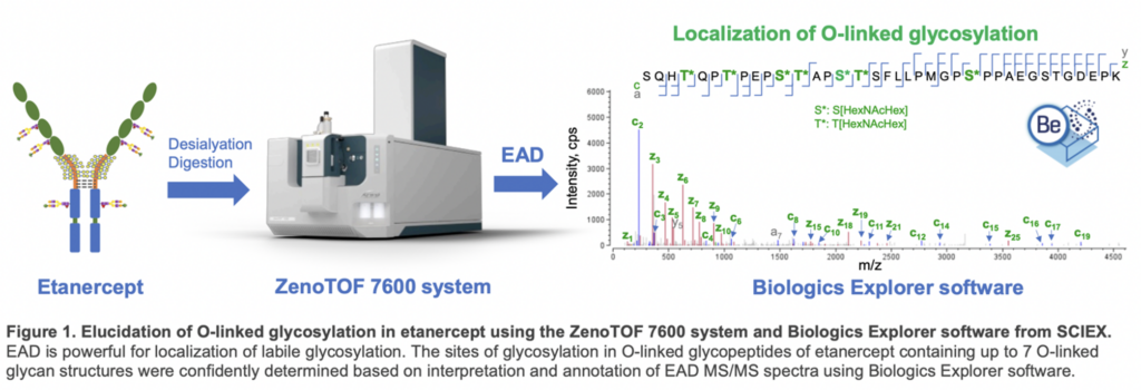 EAD preserves glycans in fragments, enabling clear identification of this labile post-translational modification.